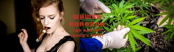 мяу мяу мука Баксан