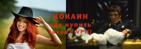 твердый Аркадак