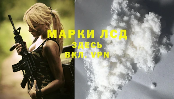 твердый Аркадак
